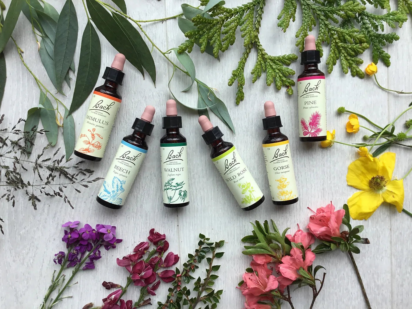 How Flower Essence Therapy Enhances Massage Therapy at Sage Health in Encinitas, CA