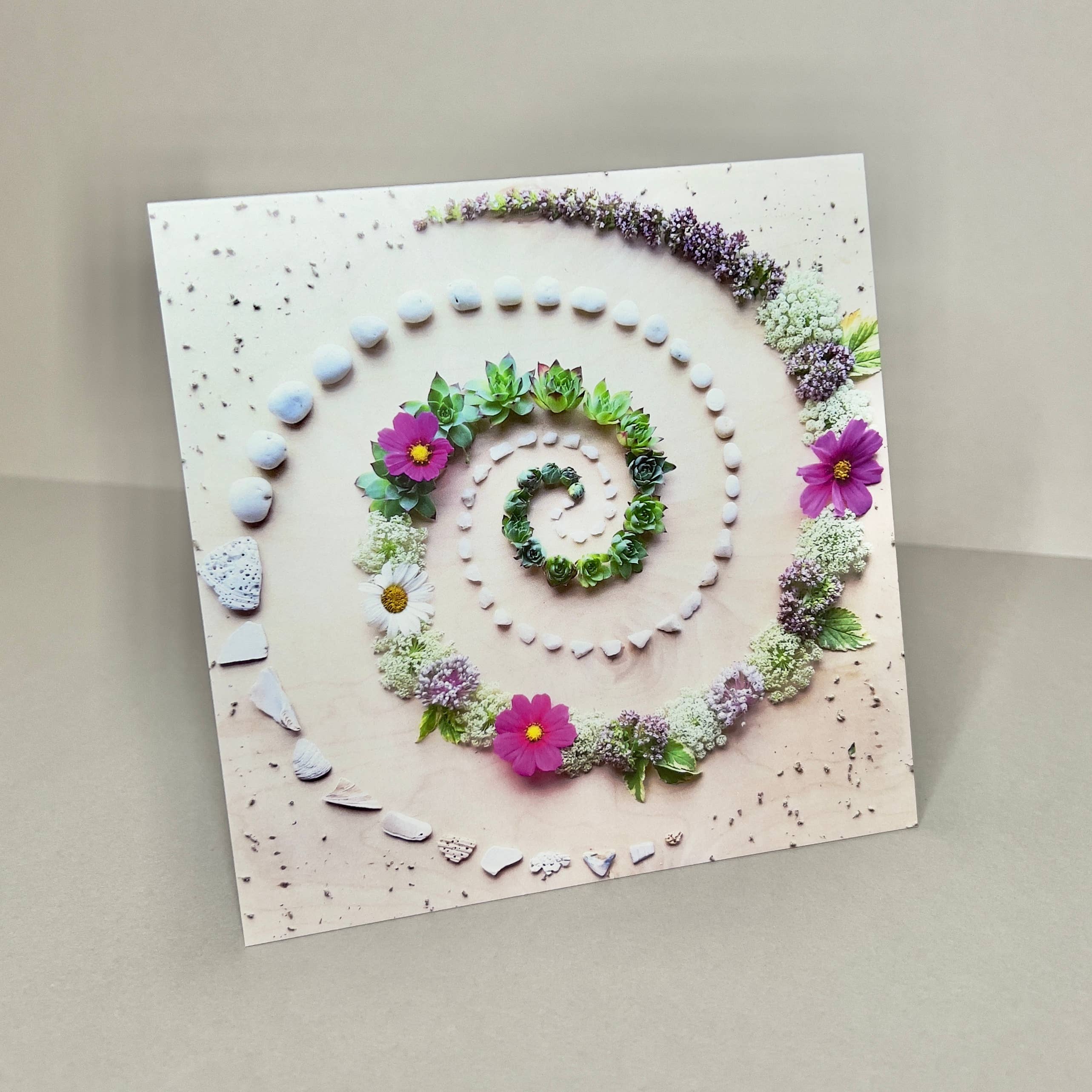 Succulent Spiral • Floral Greeting Card • Nature Art Photo