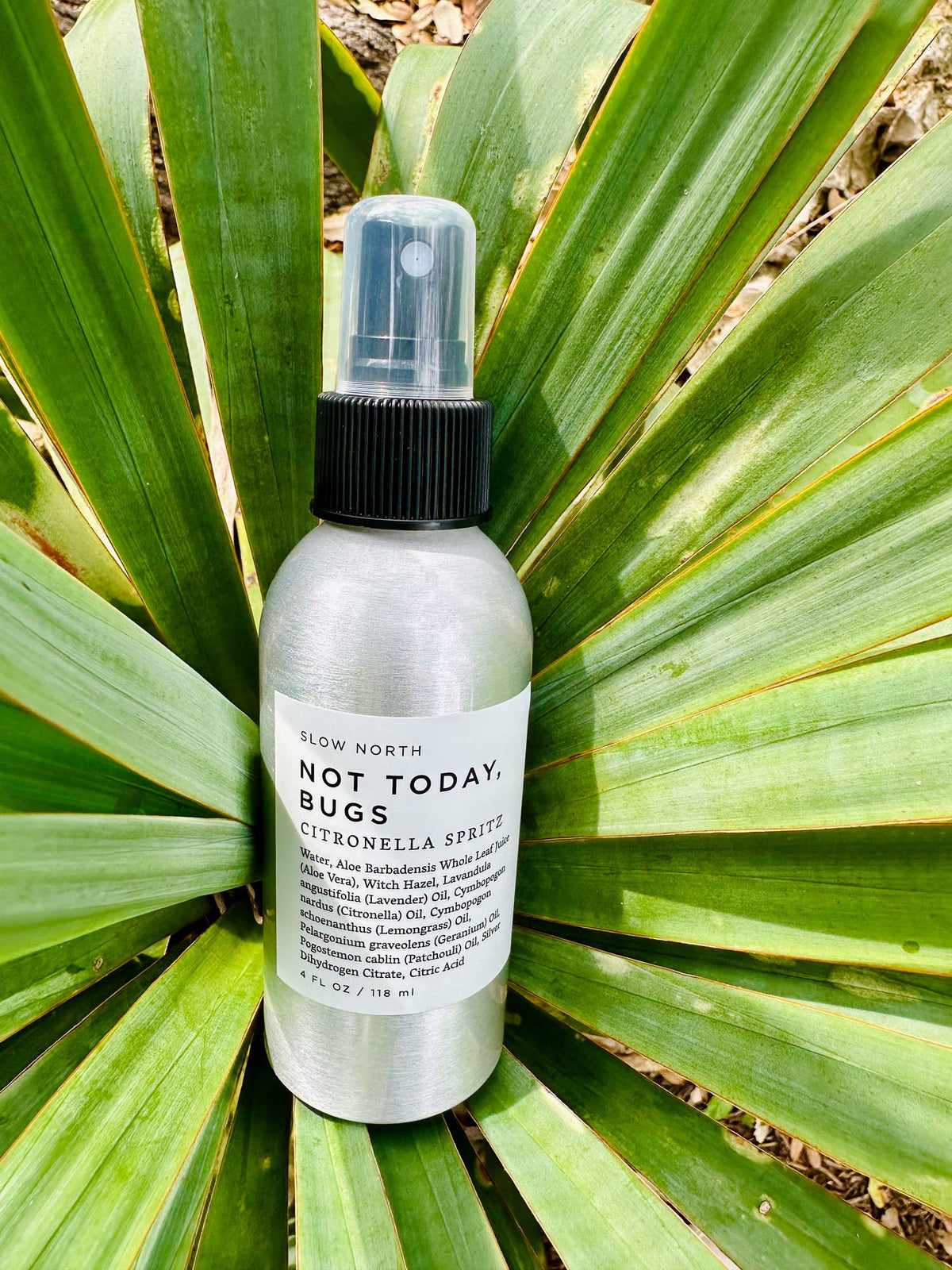 Not Today, Bugs - Bug Spray - Spring Gift
