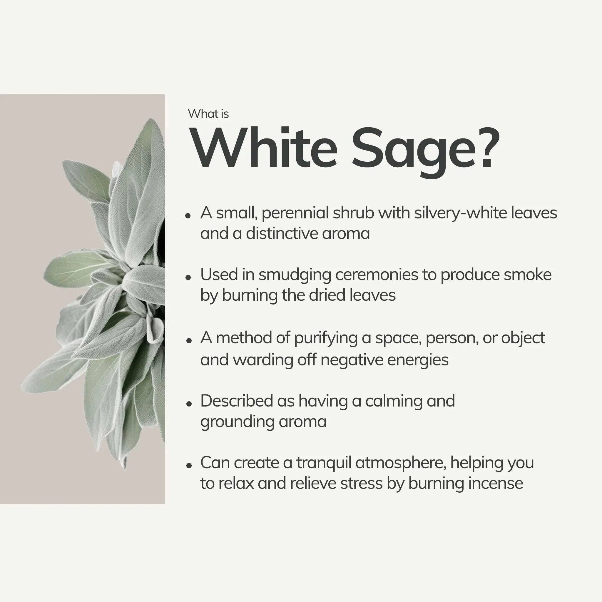White Sage Incense Sticks – 7 Hand-Rolled Sticks from Peru