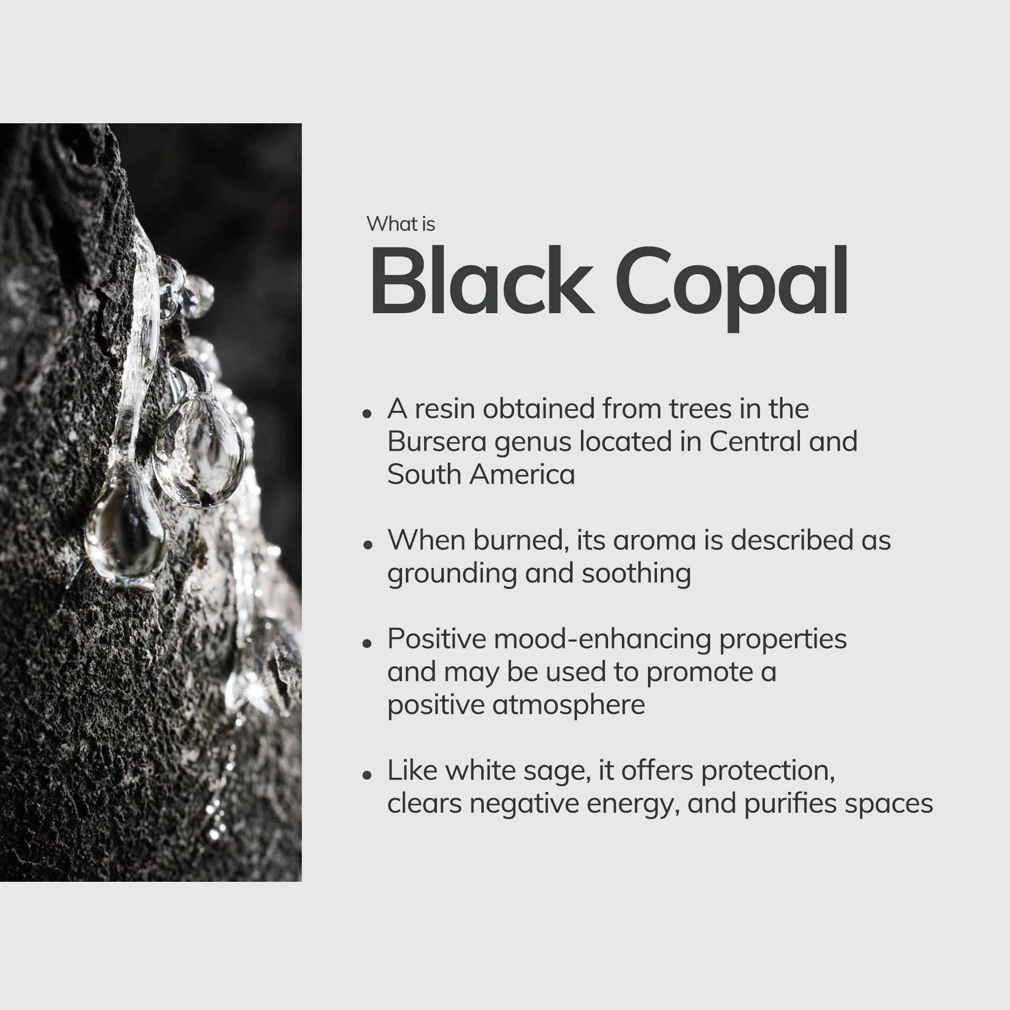 Black Copal Incense Sticks – 7 Hand-Rolled Sticks from Peru