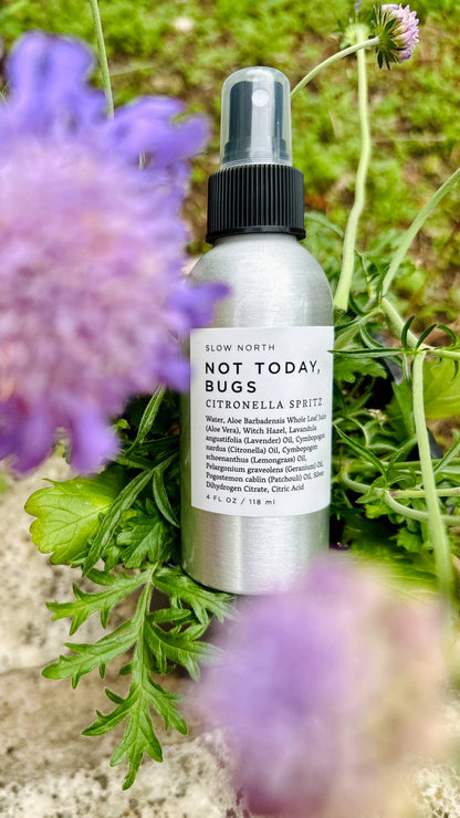 Not Today, Bugs - Bug Spray - Spring Gift