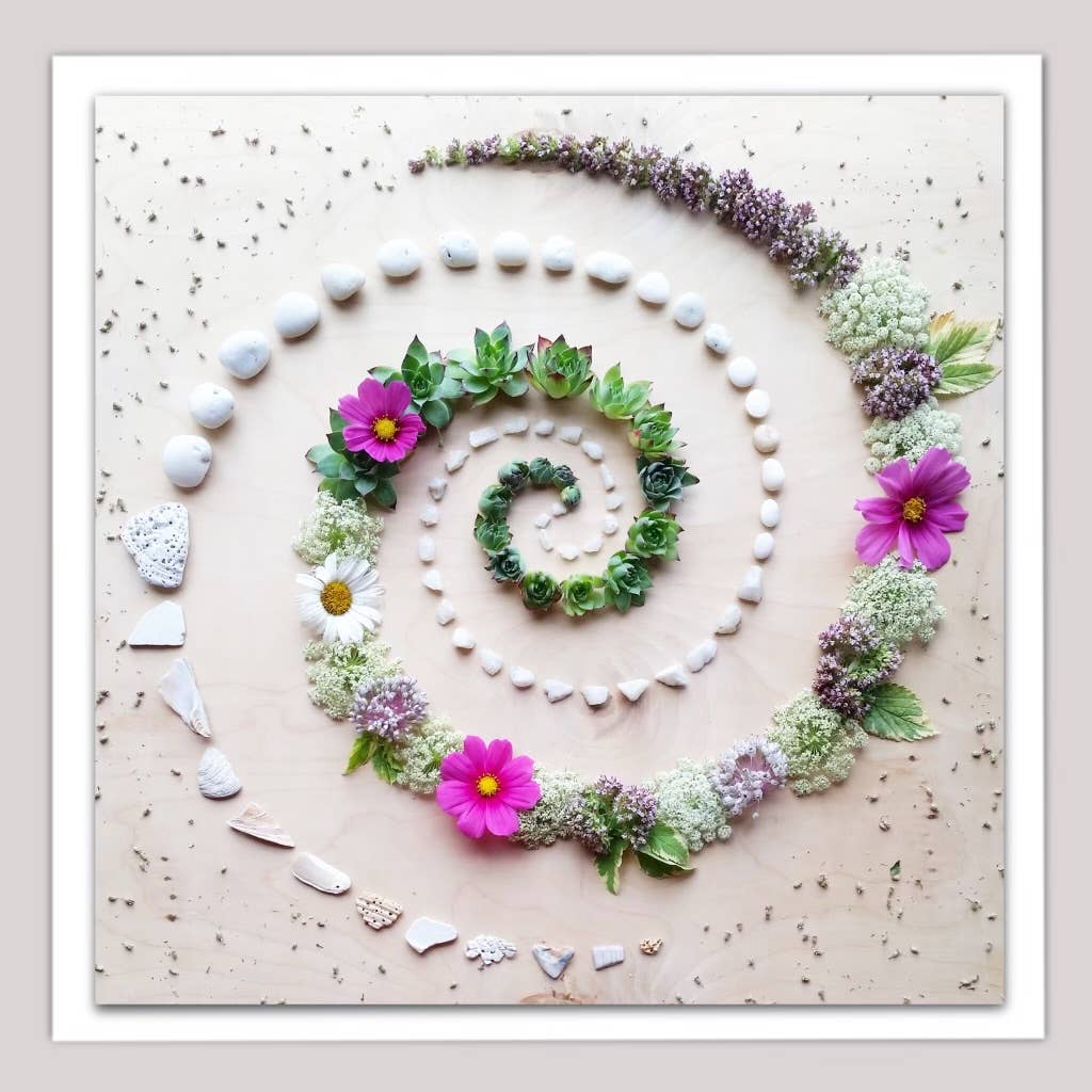Succulent Spiral • Floral Greeting Card • Nature Art Photo