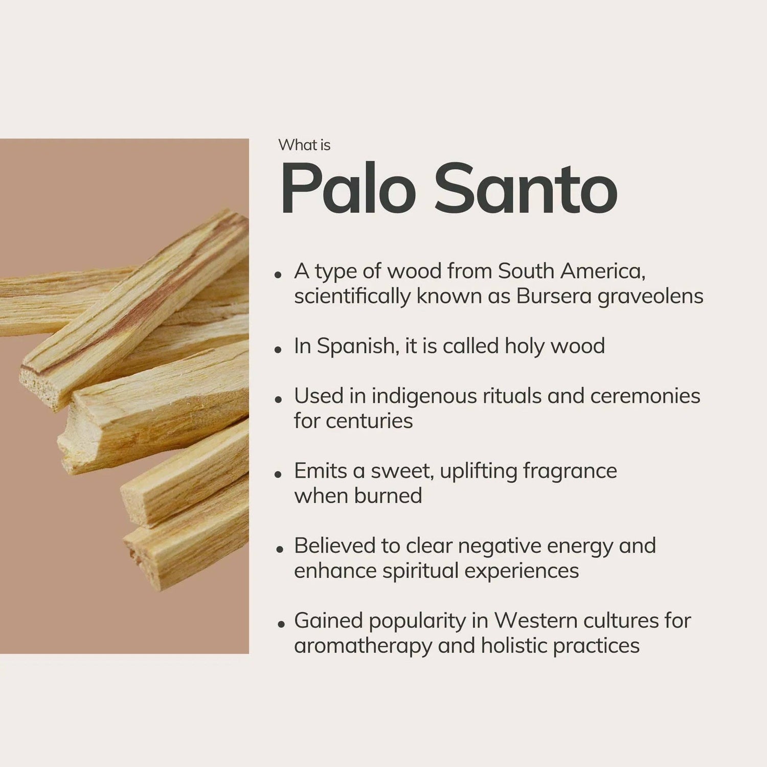 Palo Santo Incense Cones - Handmade in Ecuador (20 pcs)