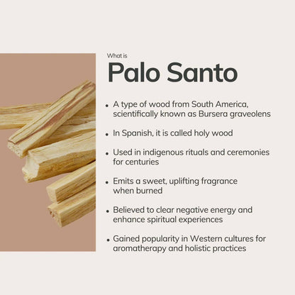 Palo Santo Incense Cones - Handmade in Ecuador (20 pcs)
