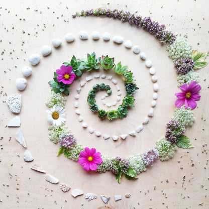 Succulent Spiral • Floral Greeting Card • Nature Art Photo