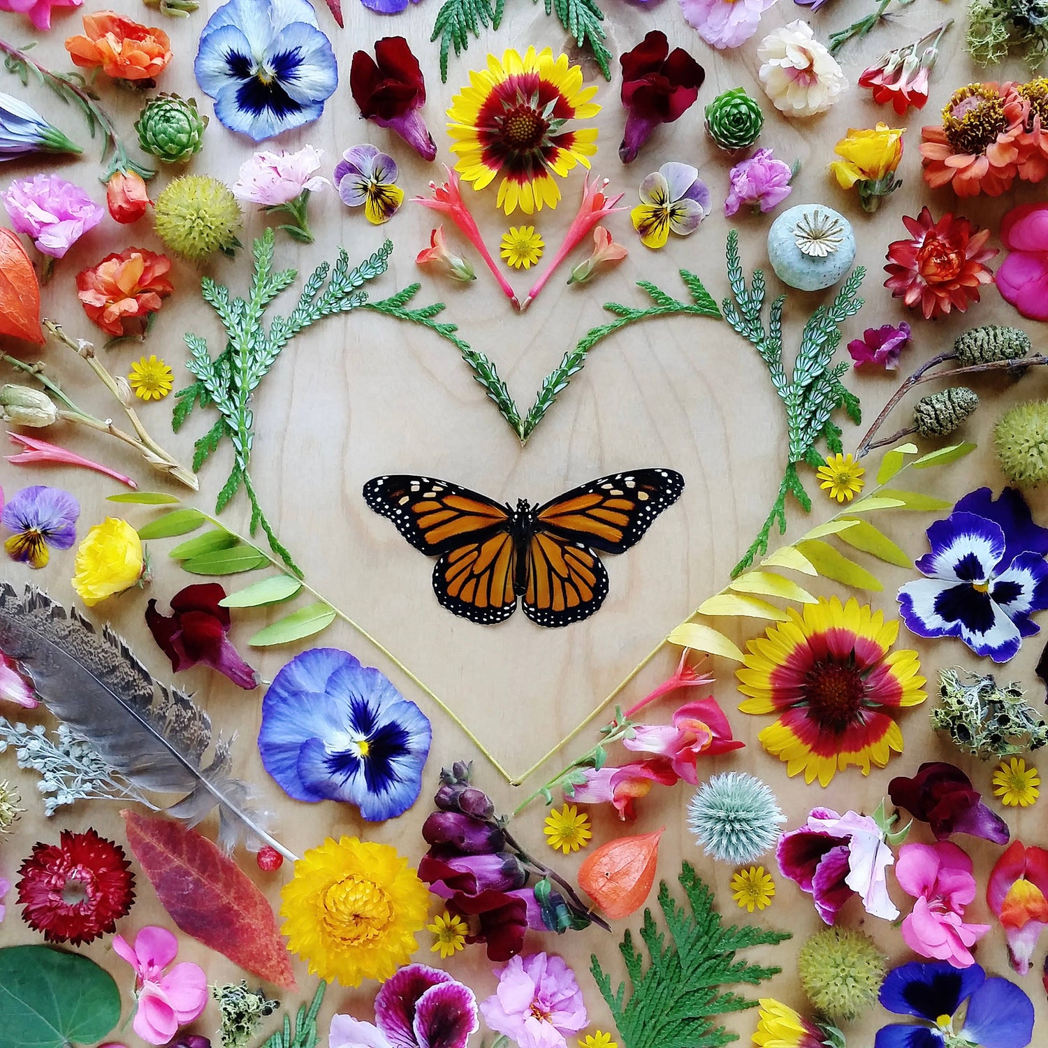 Monarch Butterfly Heart • Botanical Greeting Card • Nature