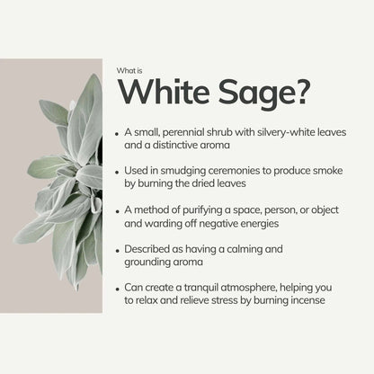 White Sage Incense Sticks – 7 Hand-Rolled Sticks from Peru