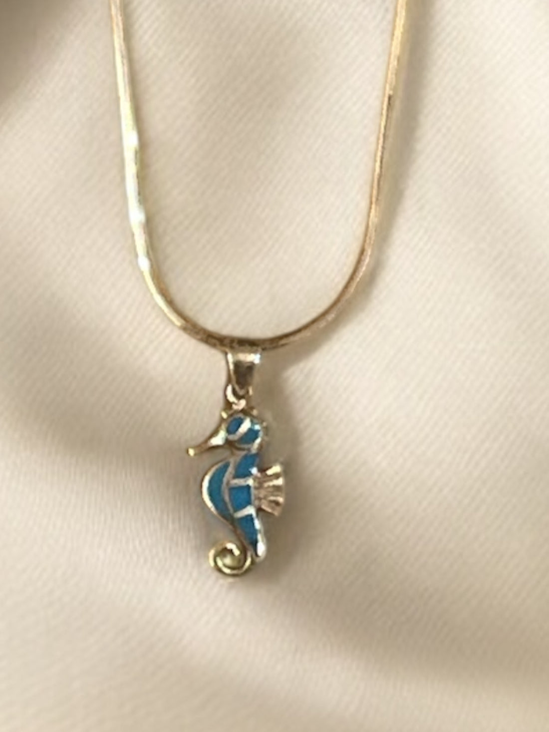 Sage Healing Jewelry: Grecian Silver Seahorse