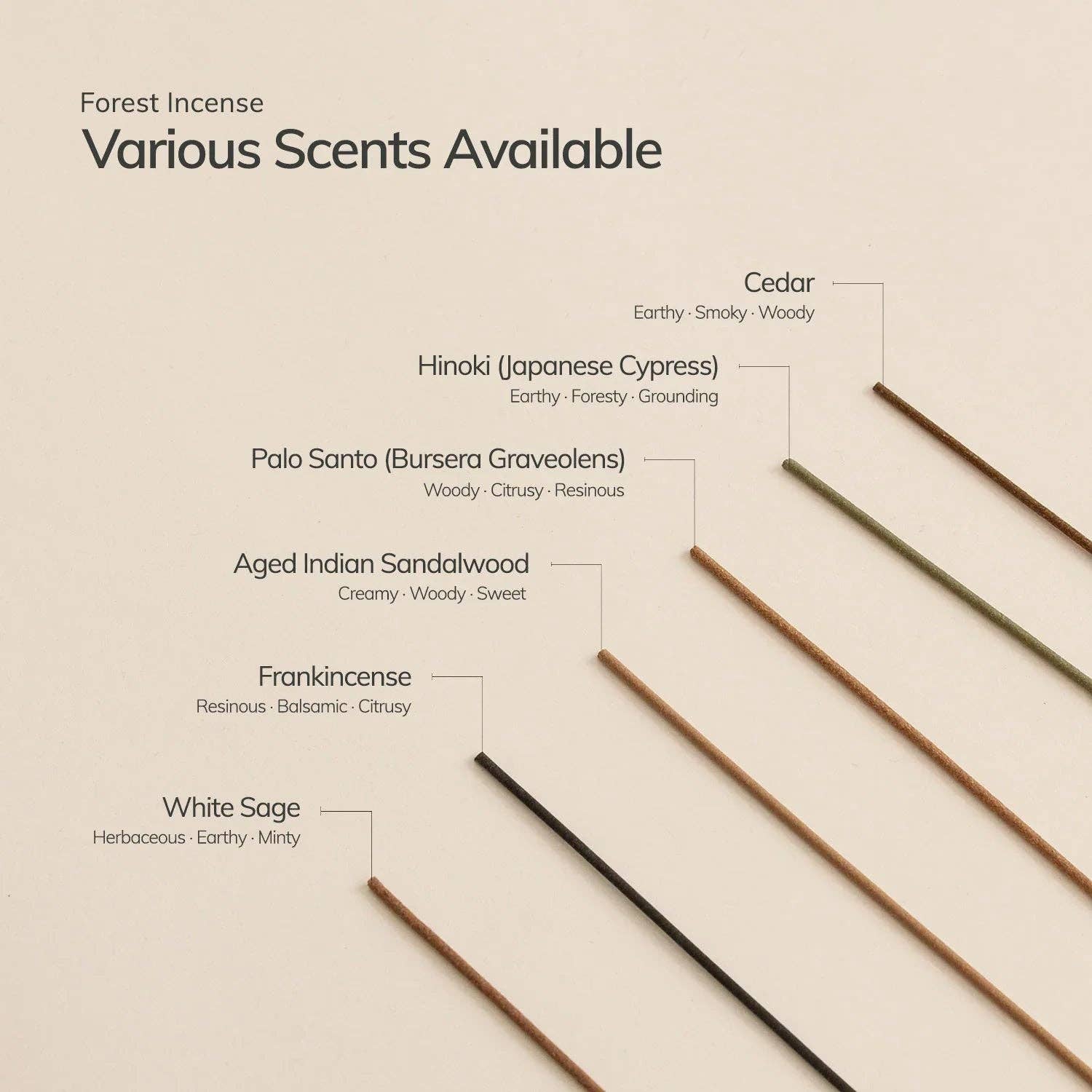 Hinoki Japanese Incense Stick Set – 30 Sticks with Ceramic Holder