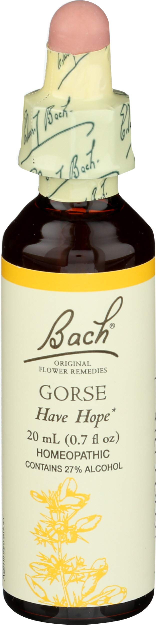 Bach Flower: Gorse