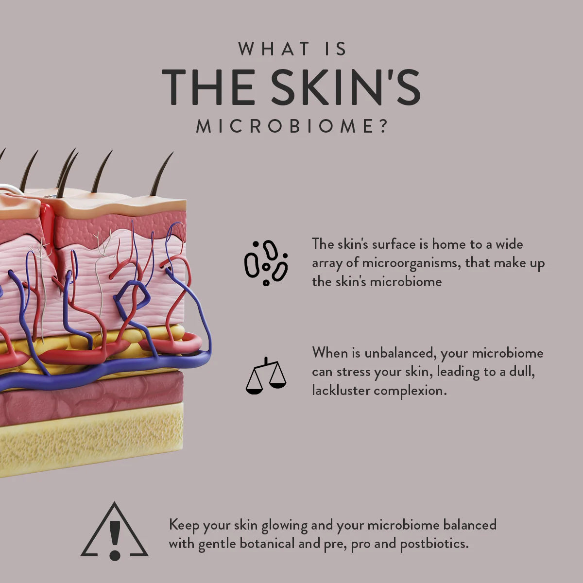 Eminence | Kombucha Microbiome Leave-On Masque