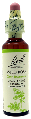 Bach Flower: Wild Rose